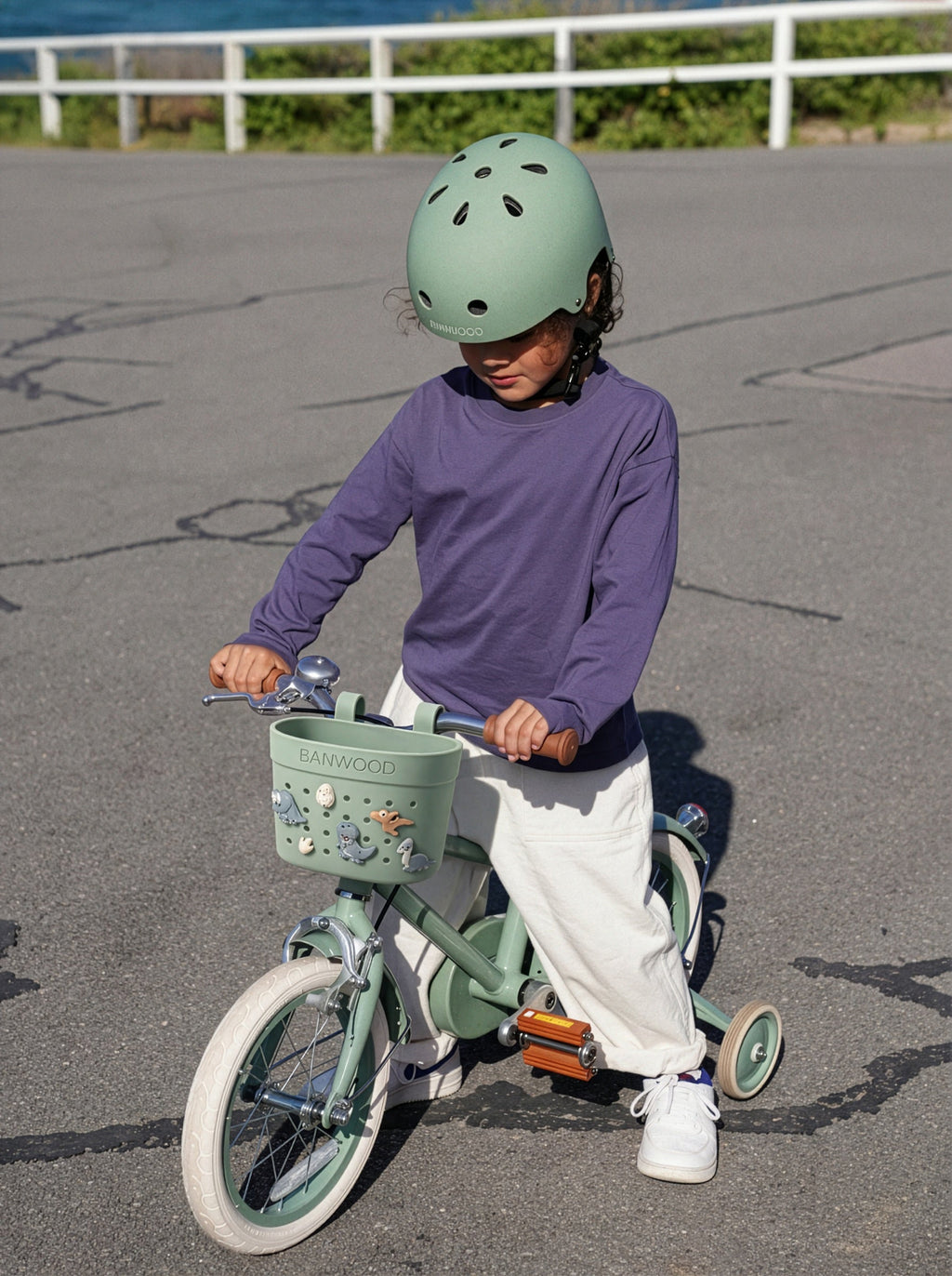 Banwood Pins voor Fietsmandje | Dino
