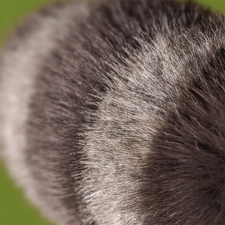 Jellycat Knuffel | Trixiwoo Raccoon