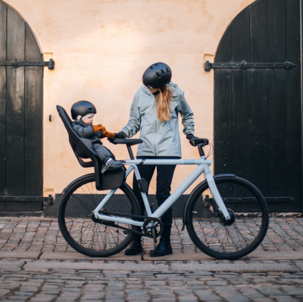 Thule Yepp 2 Maxi Kinderfietsstoeltje | Agave