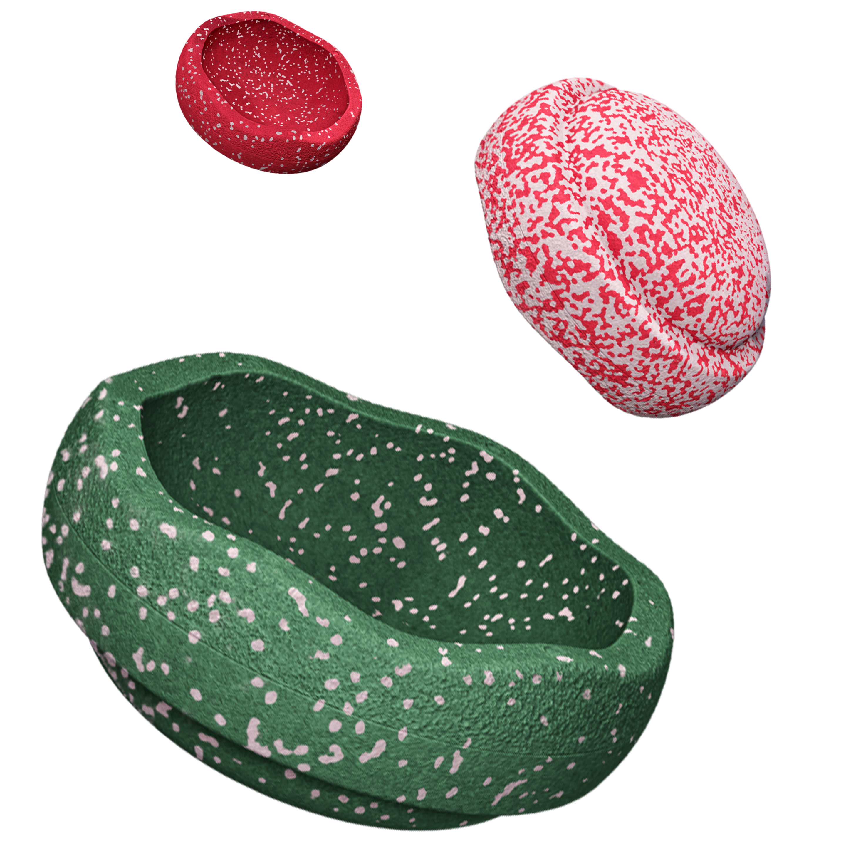 Stapelstein Special Trilogy Set | Blush
