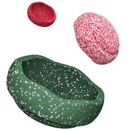 Stapelstein Special Trilogy Set | Blush