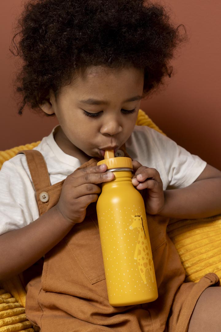 Trixie RVS Drinkfles 500ml | Mr. Giraffe