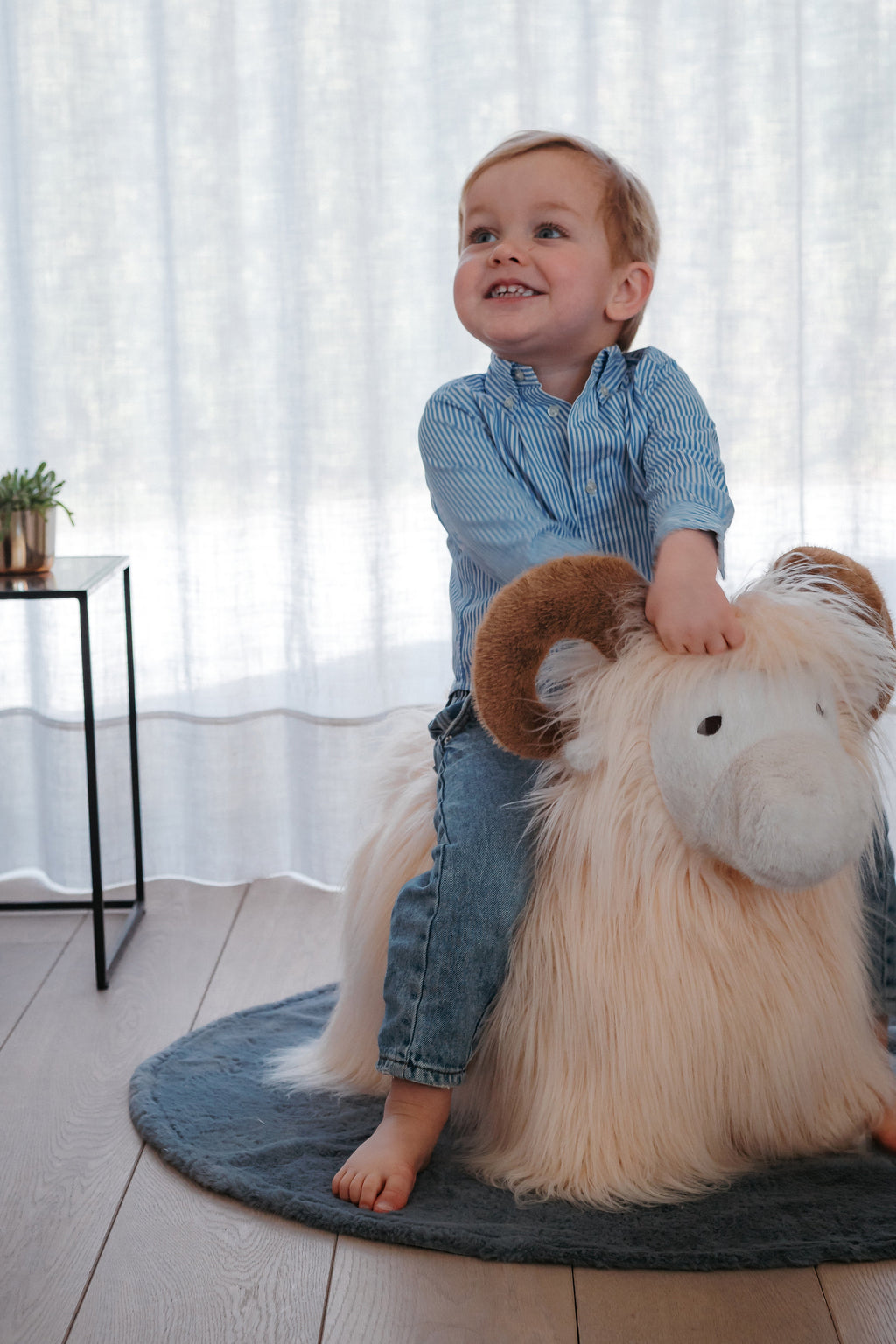 Wild & Soft Bouncy | Ram