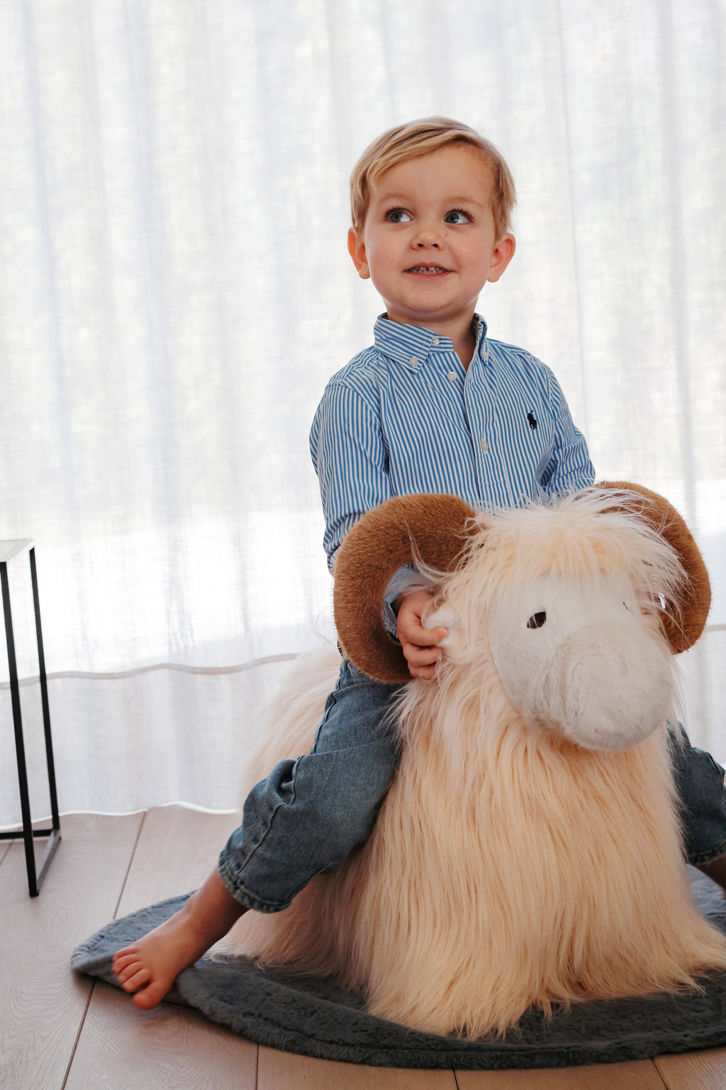Wild & Soft Bouncy | Ram