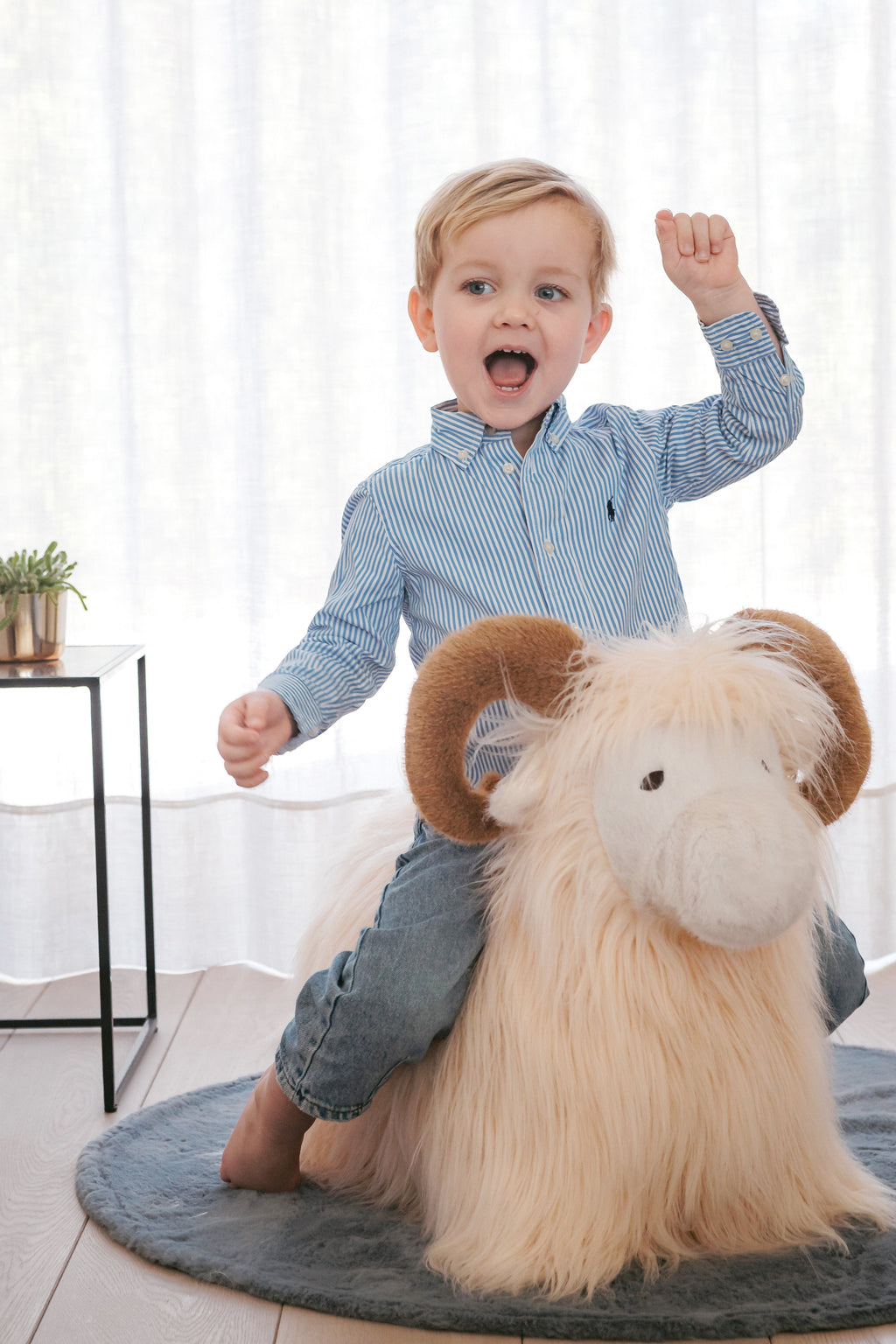 Wild & Soft Bouncy | Ram