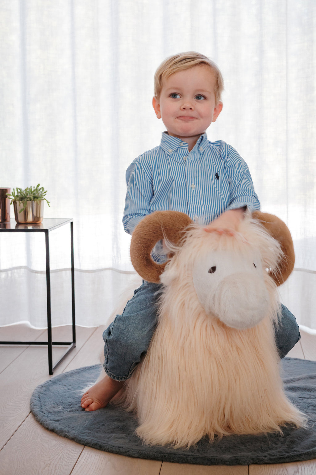 Wild & Soft Bouncy | Ram