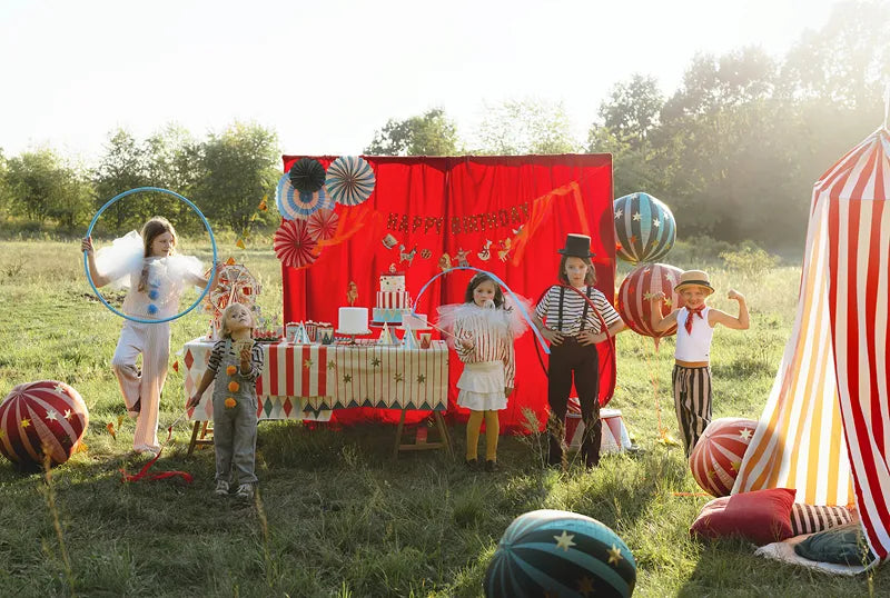 Party Deco Decoratieve Rosetten | Circus