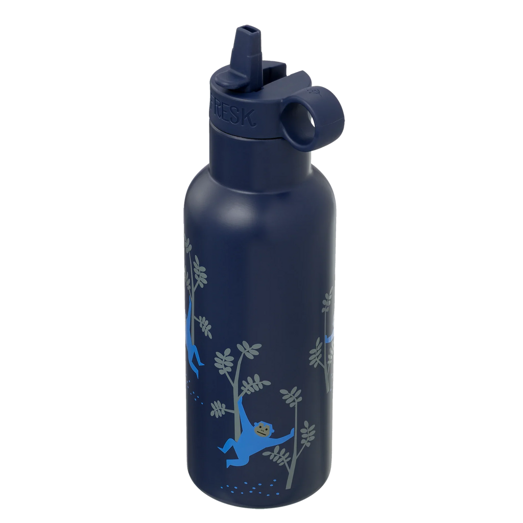 Fresk RVS Thermische Drinkfles 500ml | Monkey