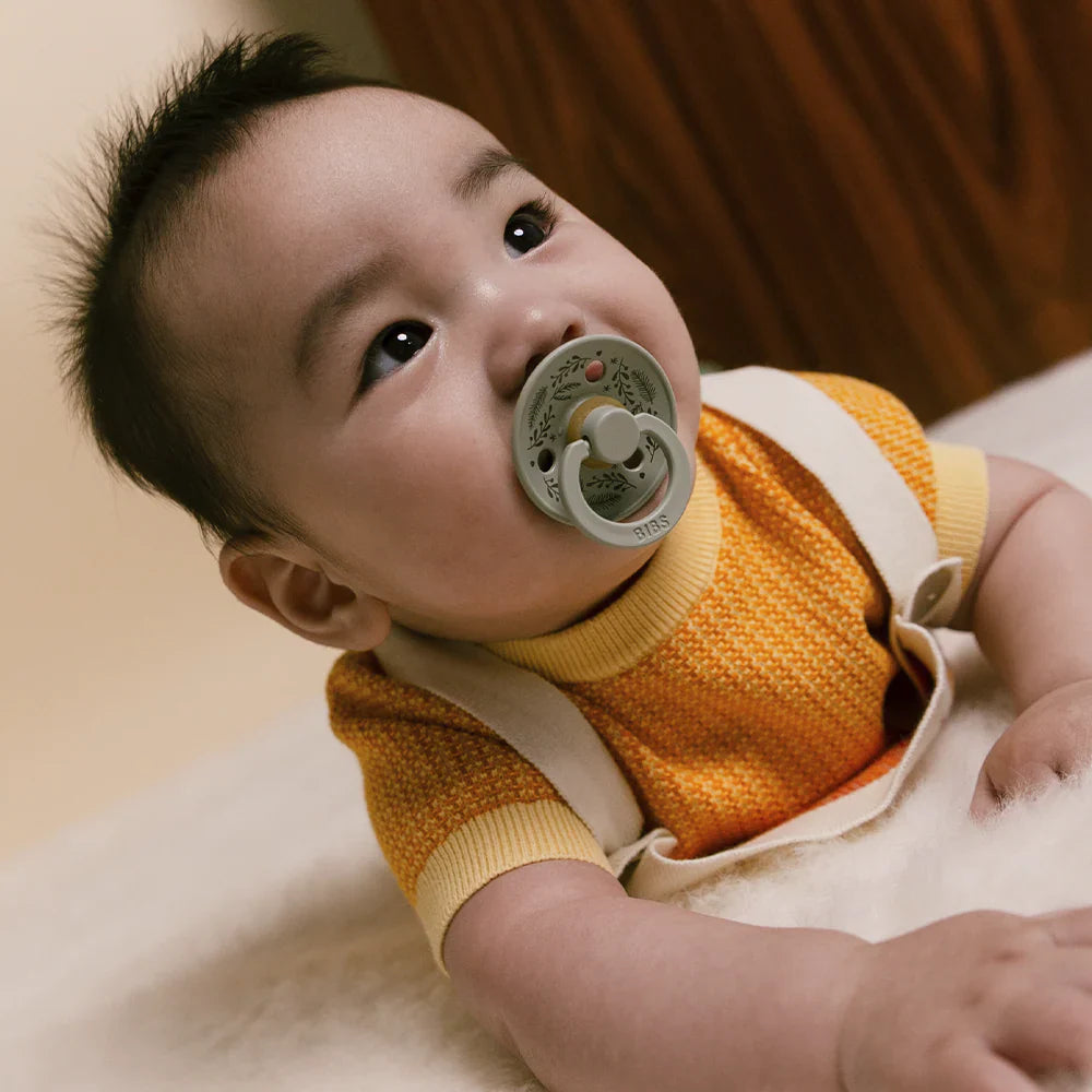 Bibs Fopspeen Size 2 Latex Rond Studio 2 Pack | Holiday Leaf Sage/Hunter Green