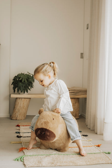 Wild & Soft Bouncy | Capybara