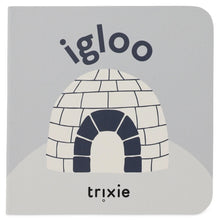 Trixie Boekje Kleine Bibliotheek | Circus, Huis, Iglo, Feest