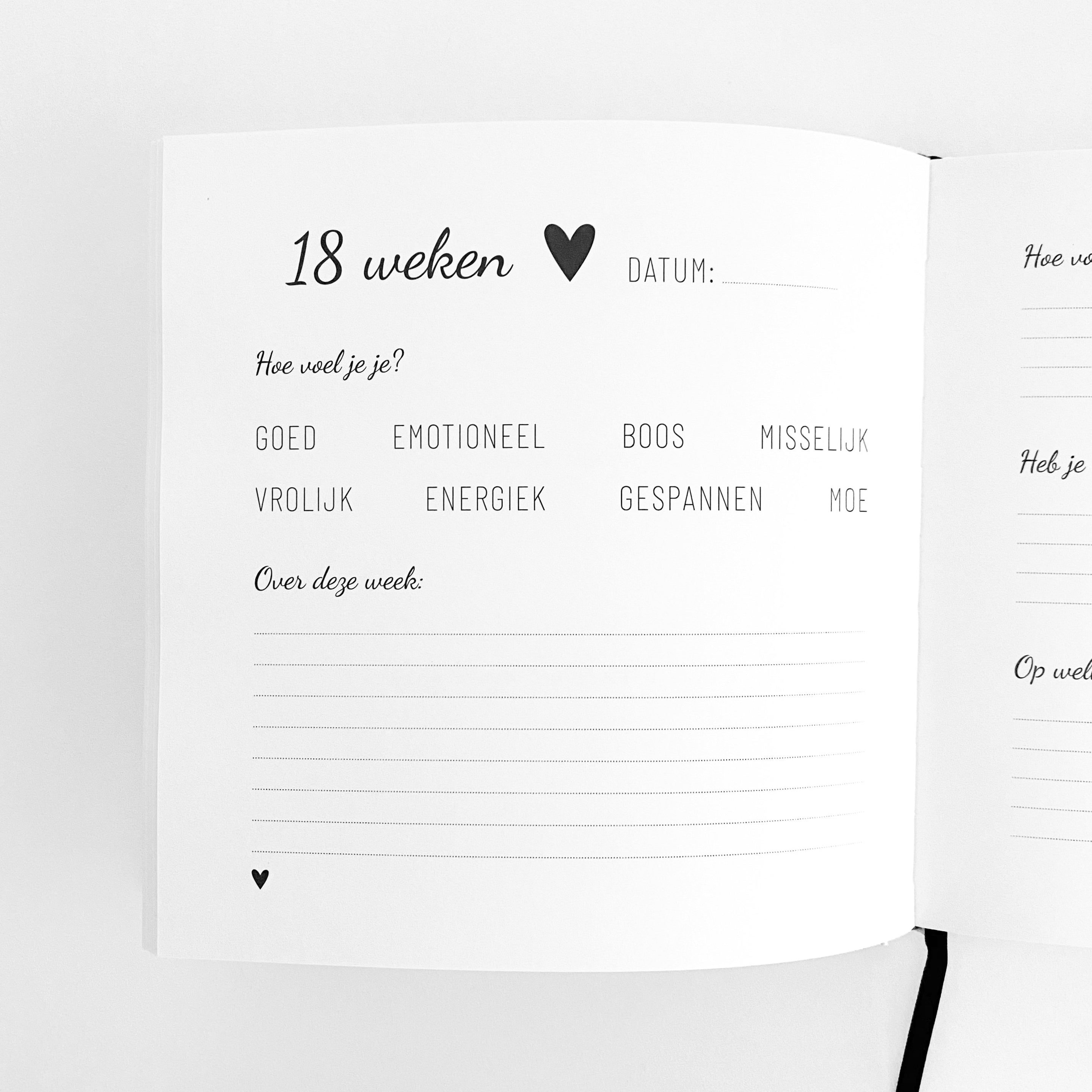Lifestyle 2 Love I Zwanger