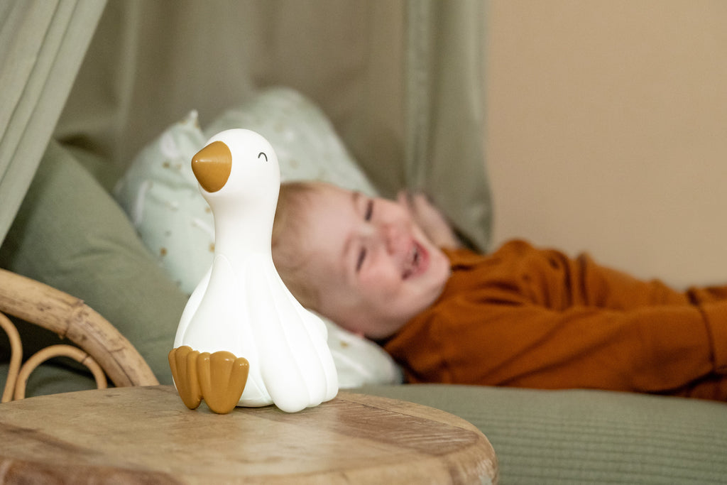 ZZZ Little Dutch Nachtlamp | Little Goose