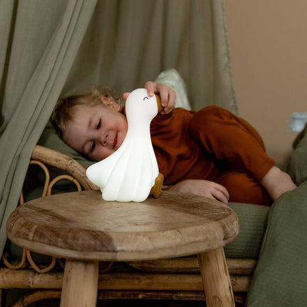 ZZZ Little Dutch Nachtlamp | Little Goose