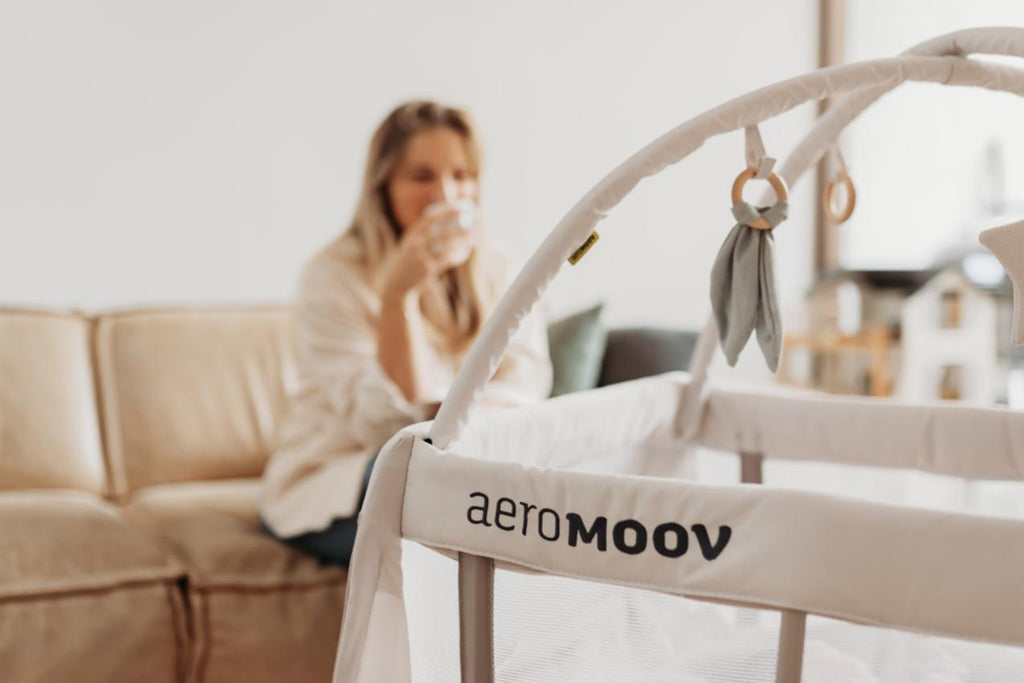 AeroMoov Speelboog voor Instant Reisbedje | Blue Whale