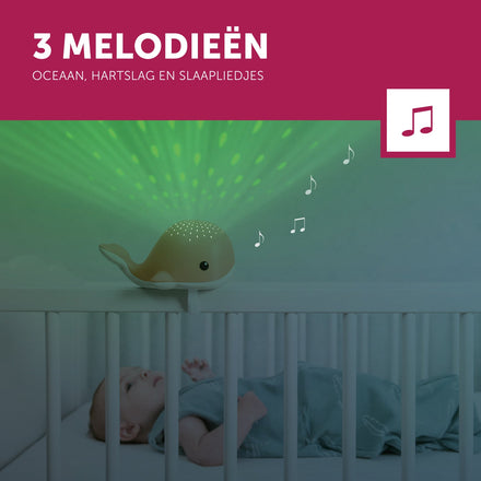 Zazu Projector Met Rustgevende Melodieën Wally De Walvis | Oker