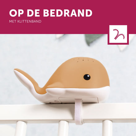Zazu Projector Met Rustgevende Melodieën Wally De Walvis | Oker