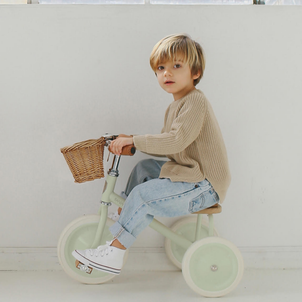 Banwood Trike Driewieler Met Mandje | Pale Mint