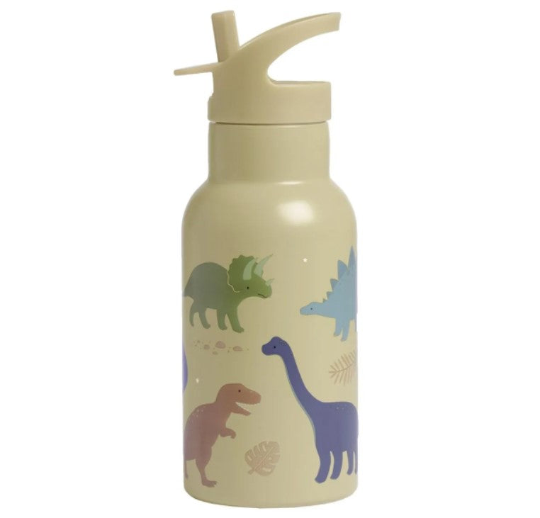 A Little Lovely Company Stainless Steel Drinkfles | Dinosaurs