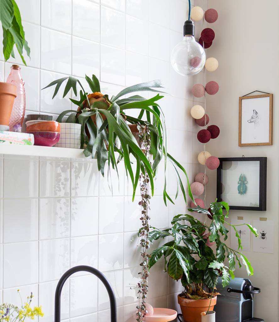 Cotton Ball Lights Lichtslinger 20 stuks - Rosegarden