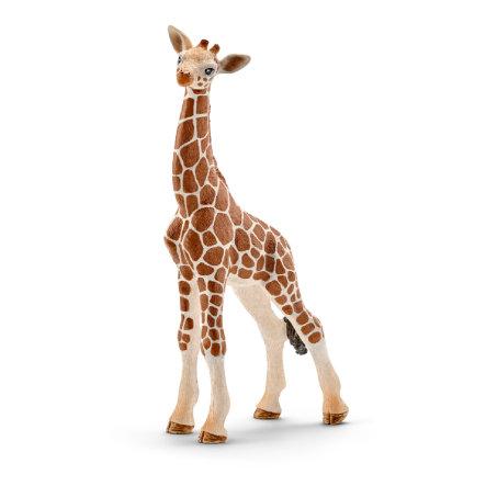 Schleich Diertje | Baby Giraf